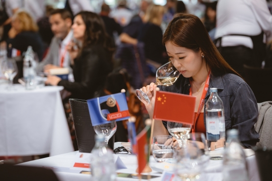 Vína z edície Winemaker’s cut zlaté na Concours Mondial de Bruxelles 2023